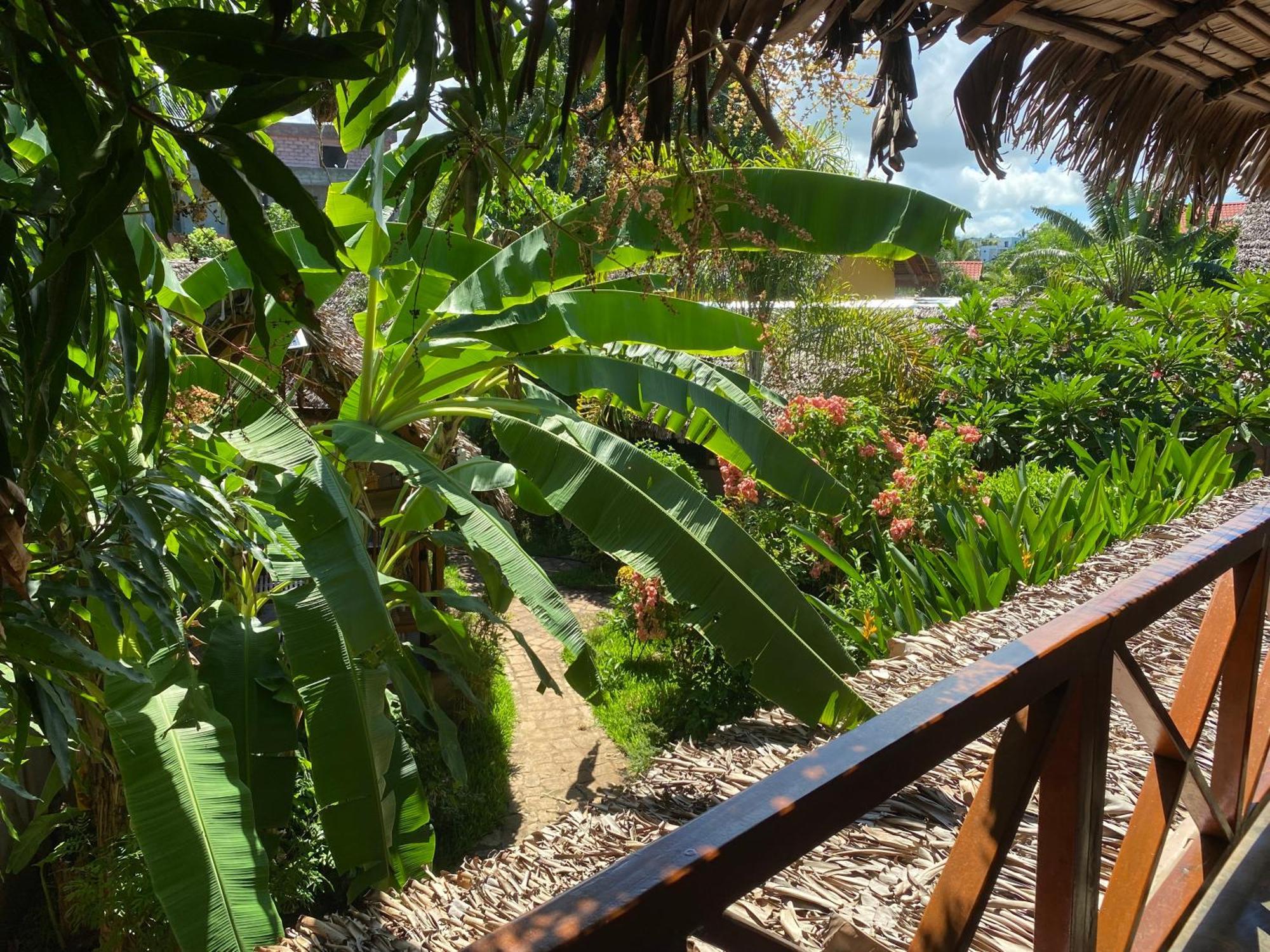 La Perle Rare De Nosy Be Hotel Амбатолоака Екстериор снимка