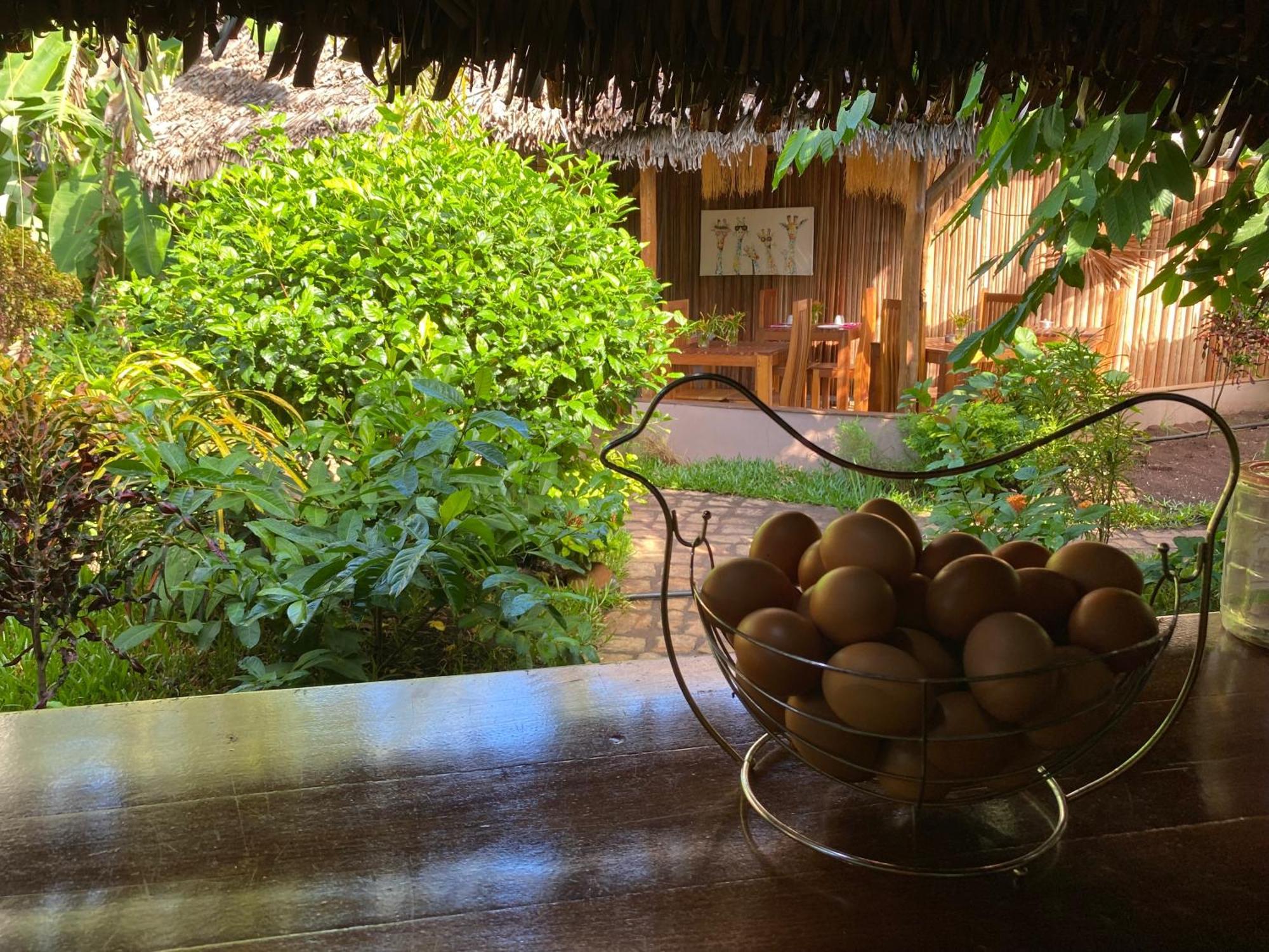 La Perle Rare De Nosy Be Hotel Амбатолоака Екстериор снимка